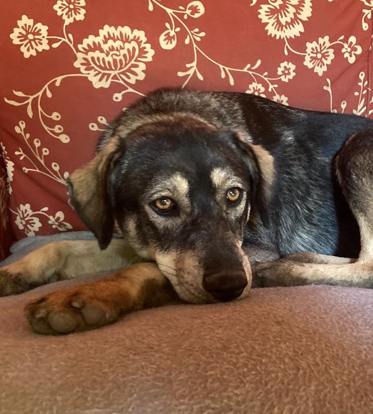 Max